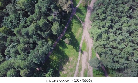 Top view of the path through the trees. Clip. Top view of the beautiful Park with tall trees in summer