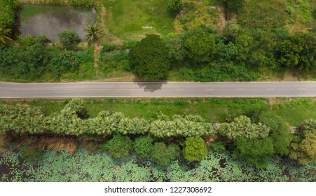 Top view of the path through the trees and field. From drone