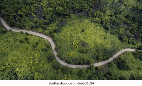 Top View Of The Path Through The Trees. View From Drone