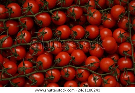 Top view, pattern close-up of a box with fresh red tomatoes on a branch