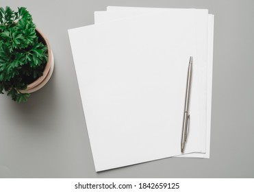 Top view of the pen and white mock-ups paper blank isolated on brown table background. portrait A4. brochure magazine. use banners products business cards to showcase your.