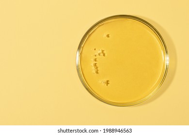 Top view of the petri dish with bubbles inside.Warm yellow background with copy space.Mockup concept,place for design.