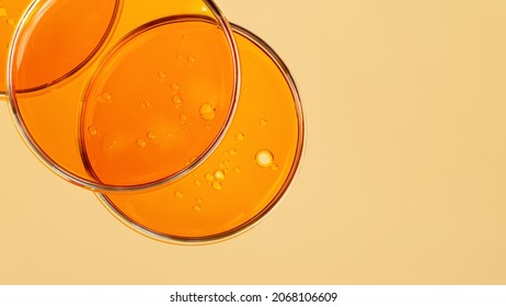 Top view of petri dishes with cosmetic oil inside.Yellow background with copy space,macro photography,large banner.