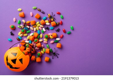 Top view photo of halloween decorations pumpkin basket with candies and spiders on isolated violet background