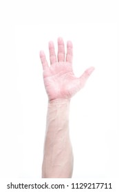 Top View Photo Image Of Man Forearm With Blood Vain Pattern Isolated On White Background, Raise Arm Up For Vote, Show Hand Sign Of Say Yes