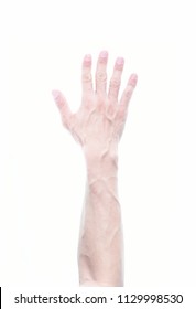 Top View Photo Image Of Man Forearm With Blood Vain Pattern Isolated On White Background, Raise Arm Up For Vote, Show Hand Sign Of Say Yes