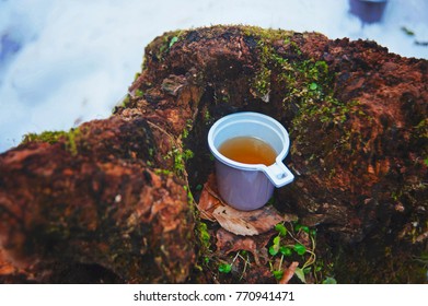 Top view photo of a pink plastic mug filled with tea, standing on a rock partly covered with snow. Drinking hot beverage outdoors on a winter day. Thermos cap with tea.