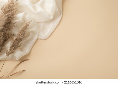 Top view photo of white light scarf and reed flowers on isolated beige background with copyspace - Shutterstock ID 2116651010