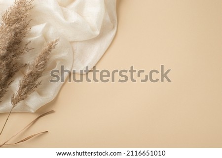 Top view photo of white light scarf and reed flowers on isolated beige background with copyspace