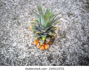 Top View Photo Of Yellow Pineapple Chunks On Concrete