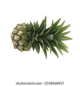 A top view of a pineapple showcasing its spiky leaves and textured skin, emphasizing its tropical appeal. - Powered by Shutterstock