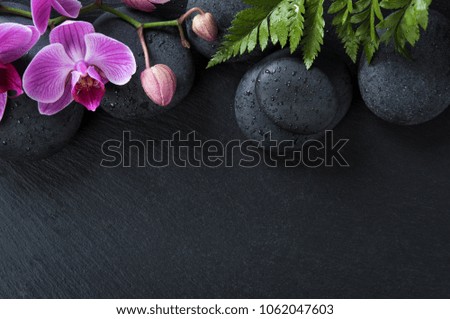 Similar – Image, Stock Photo orchid Elegant Wellness