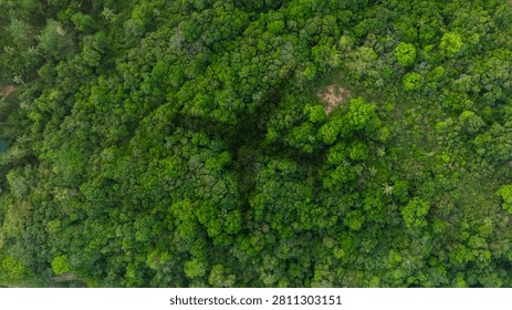 Top view of a plane shadow on a dense jungle forest, representing the environmental impact of aviation, carbon footprint, and eco tourism concepts.