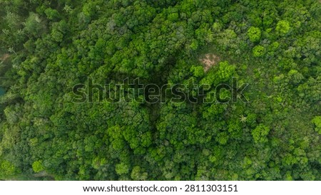 Top view of a plane shadow on a dense jungle forest, representing the environmental impact of aviation, carbon footprint, and eco tourism concepts.