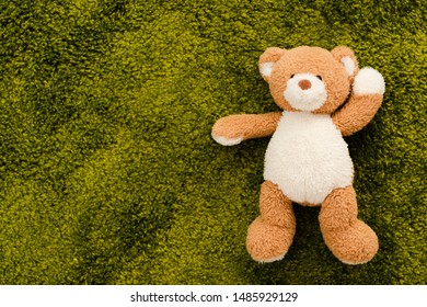 Top View Of Plush Brown Bear On Green Soft Carpet