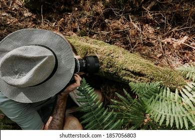 Top View Of A Professional Wildlife Photographer With A Hat And A Ring Flash Taking A Photo Between Fern Leaves In Spring During The Day.