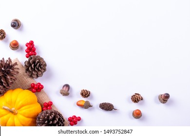 Top view of Pumpkin and red berries on white paper background. Thanksgiving day or Autumn concept.