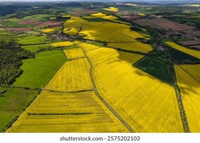 Top view of rapeseed fields. Yellow rapeseed field with stripes and abstract landscape. Germany.