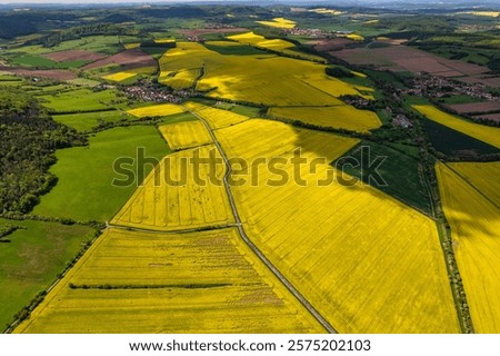 Top view of rapeseed fields. Yellow rapeseed field with stripes and abstract landscape. Germany.
