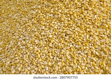 Top view of raw yellow split mung beans spread out in a natural bright setting
