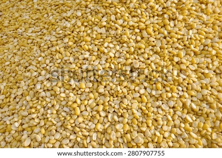 Top view of raw yellow split mung beans spread out in a natural bright setting