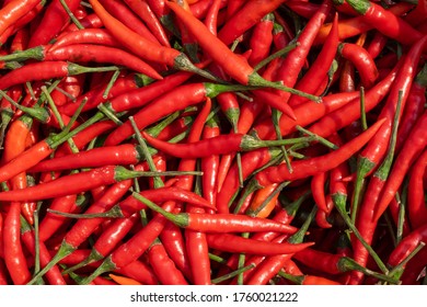 Top View Of Red Chilli Pepper Background.