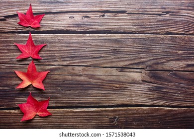 Top view of red maple leaves in one row from small to large dark rustic wooden background. Red Maple Leaves on vintage wooden table with copy space. Autumn and thanksgiving concept. Still life.