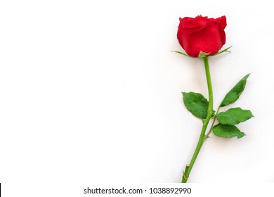 Top view of red rose isolated on white background with clipping path