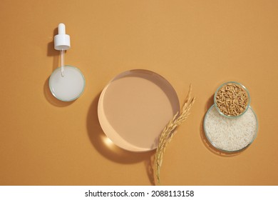Top view of rice and wheat extract in petri dish and transparent podium for cosmetic advertising light brown advertising , front view