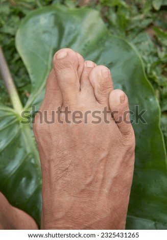 top view of right foot crumple together on a heart shape leaf outdoor on a sunny day during summer