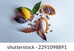 Top view of ripe fresh slide cocoa pods, half in cut cocoa fruit, and dry brown cocoa beans with green cacao leaf on white wooden background