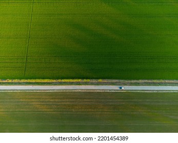 Top view of a rise field divided by a narrow country road - Powered by Shutterstock