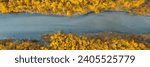 Top view of the riverbed and yellow crowns of trees. Autumn panoramic aerial photograph of a forest river. Wonderful nature. Fall season. Beautiful river landscape. Natural background. Wide panorama.