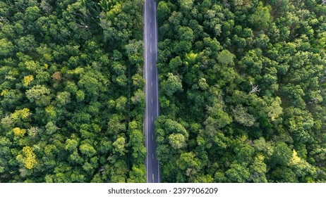top view road and forest. Road going through forest view from above