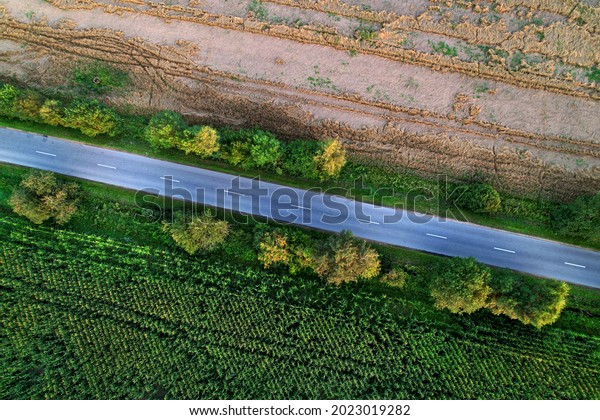 Top view of road near agricultural field. Road\
through the green plant. Ecosystem and environment concept at\
highway. Aerial view of countryside route. Ecological path\
background. Tourist way.\
