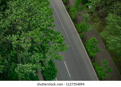 Top view of road path and trees along the way.