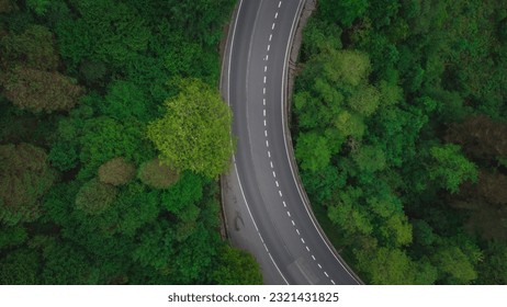 Top view of the road through the trees and the field. drone view - Powered by Shutterstock