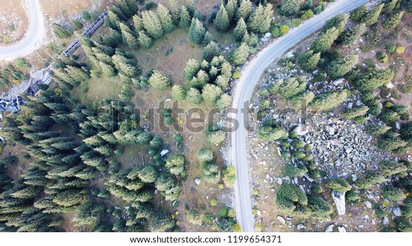 Top view\
of the road in the woods. Shot on a drone from a height. The road\
from above among fir-trees, coniferous trees. Winding road from the\
drone. Around trees, stones and\
glades.