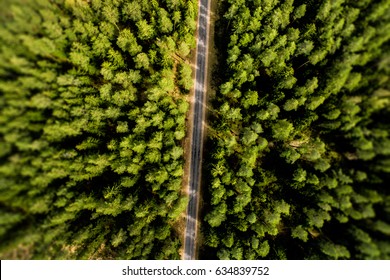 Top View Of Rural Road, Path Through The Green Forest And Countryside. Sunny Day