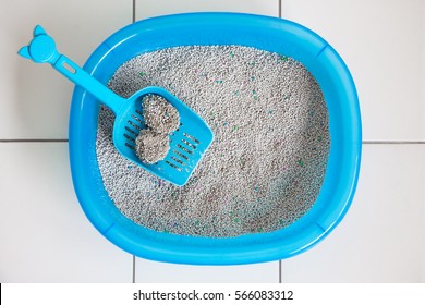 Top view of the sand cat in plastic box and clean sand box or toilet of cat with scoop.