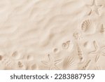 Top view of a sandy beach texture with imprints of exotic seashells and starfish as natural textured background