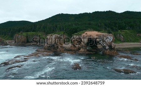 Top view of seagulls flying near rocky cliff on coast. Clip. Northern coast with rocks and seagulls on background of green mountains on cloudy day. Beautiful coast with through erosion of sea rocks