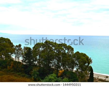Top view of the seascape through the trees