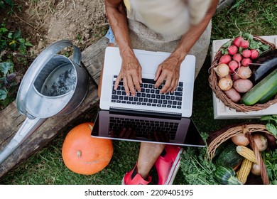 Top View Of Senior Woman Using Laptop And Handling Orders Of Her Homegrown Organic Vegetables In Garden, Small Business Concept.
