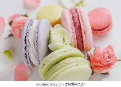 Top view Set Beautiful colorful French macaroons and flowers. Spring Flat lay white background.