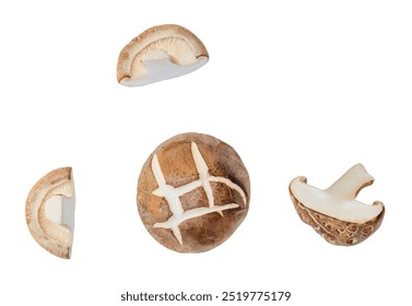 Top view set of shiitake mushroom with halves or slices is isolated on white background with clipping path.