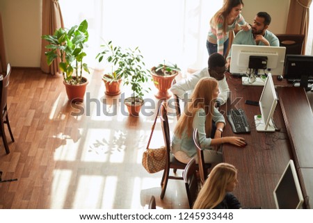 Top view of several people using a personal computer in public place sitting at tables in large spacious well-lit hall with green palnts against sunlight window.