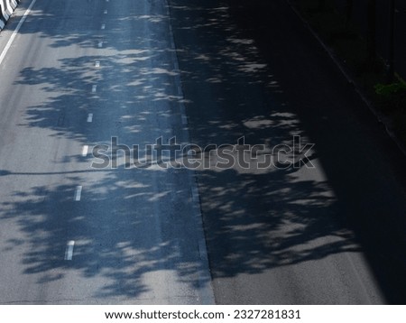 top view, shadow of the tree on asphalt road texture, view the road in street