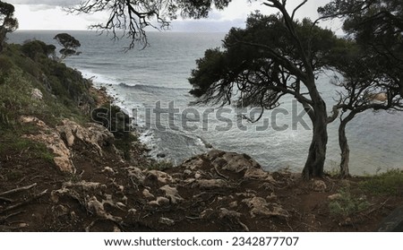 Top view at Shelley Cove near Bunker Bay, Eagle Bay and Dunsborough city in Western Australia with a tree in overcast weather 