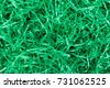 easter basket grass